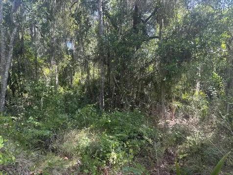 536 Bright Hill Avenue Lake Placid FL 33852