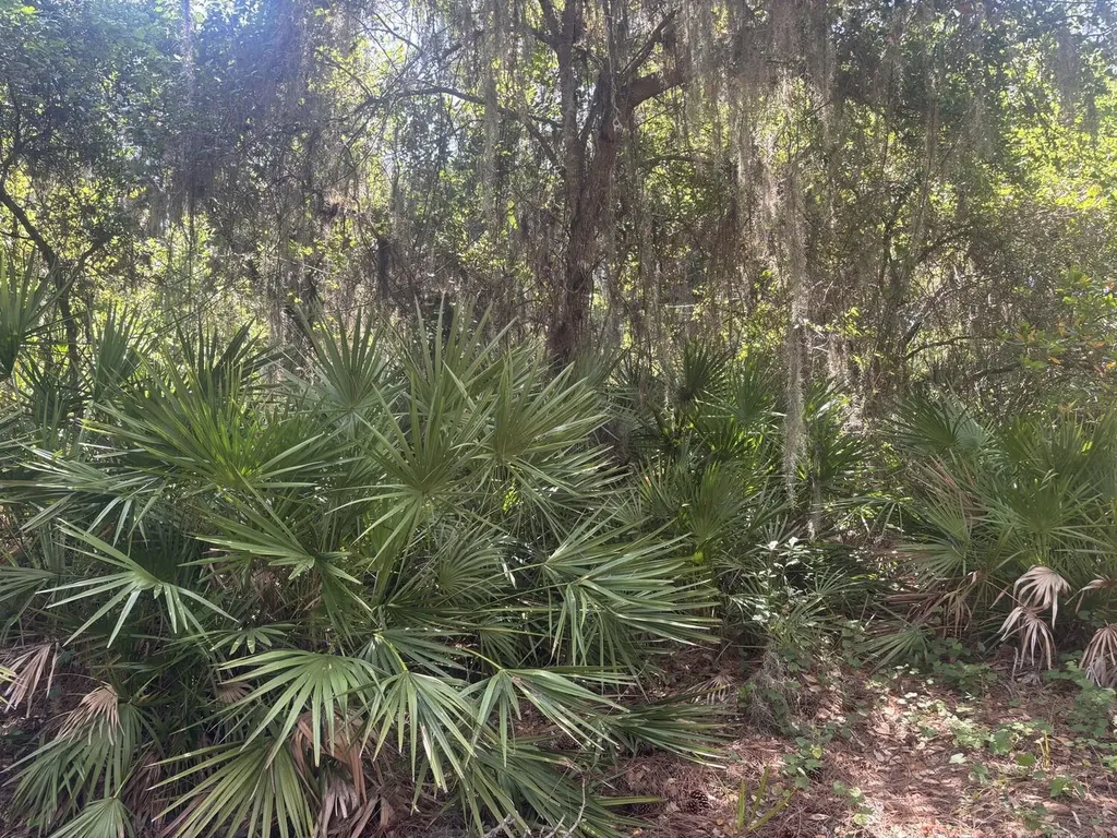 536 Bright Hill Avenue Lake Placid FL 33852