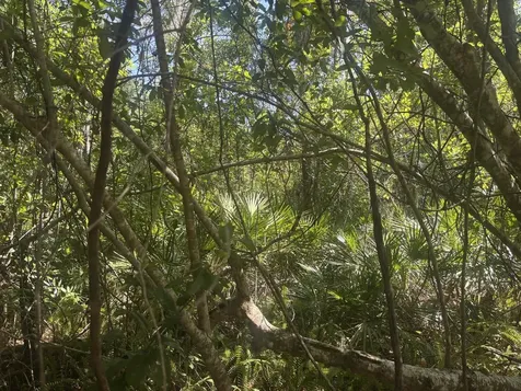 536 Bright Hill Avenue Lake Placid FL 33852