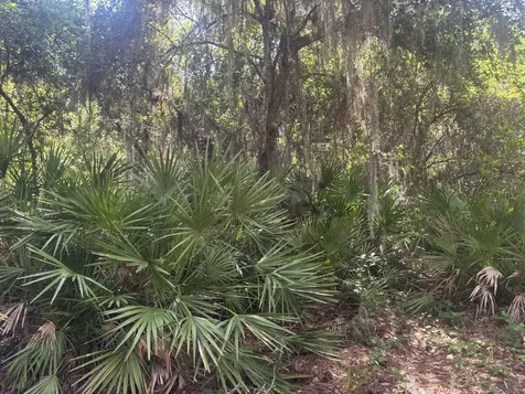 536 Bright Hill Avenue Lake Placid FL 33852