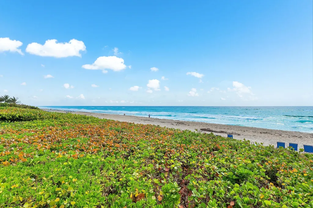 2909 S Ocean Boulevard Highland Beach FL 33487