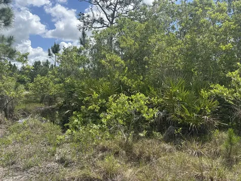 0 Holopaw Groves Road St. Cloud FL 34772