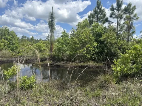 0 Holopaw Groves Road St. Cloud FL 34772