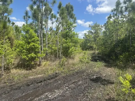 0 Holopaw Groves Road St. Cloud FL 34772