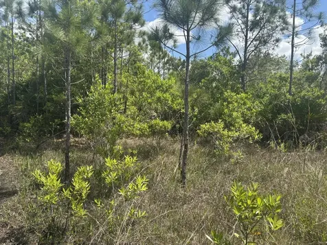 0 Holopaw Groves Road St. Cloud FL 34772