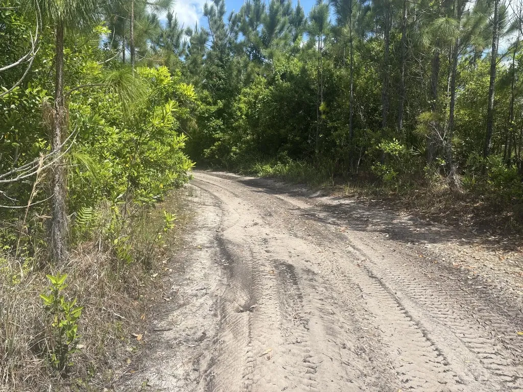 0 Holopaw Groves Road St. Cloud FL 34772