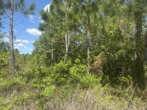 0 Holopaw Groves Road St. Cloud FL 34772