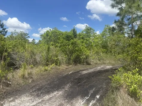 0 Holopaw Groves Road St. Cloud FL 34772
