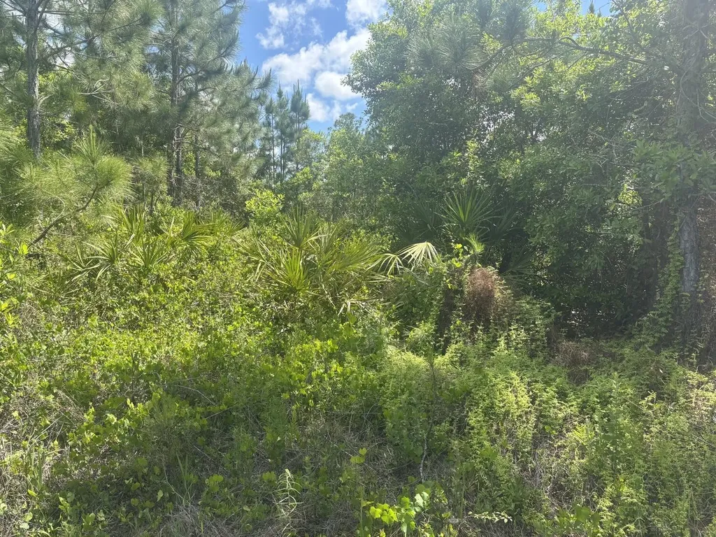 0 Holopaw Groves Road St. Cloud FL 34772