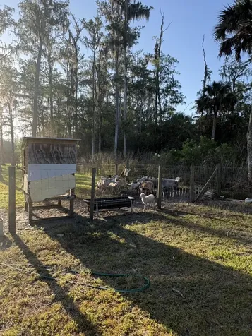 855 N Datil Street Clewiston FL 33440