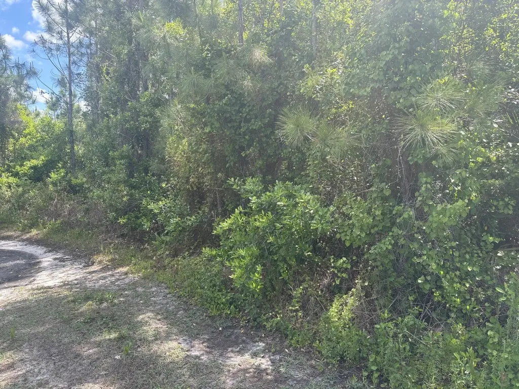 0 Holopaw Groves Road St. Cloud FL 34772