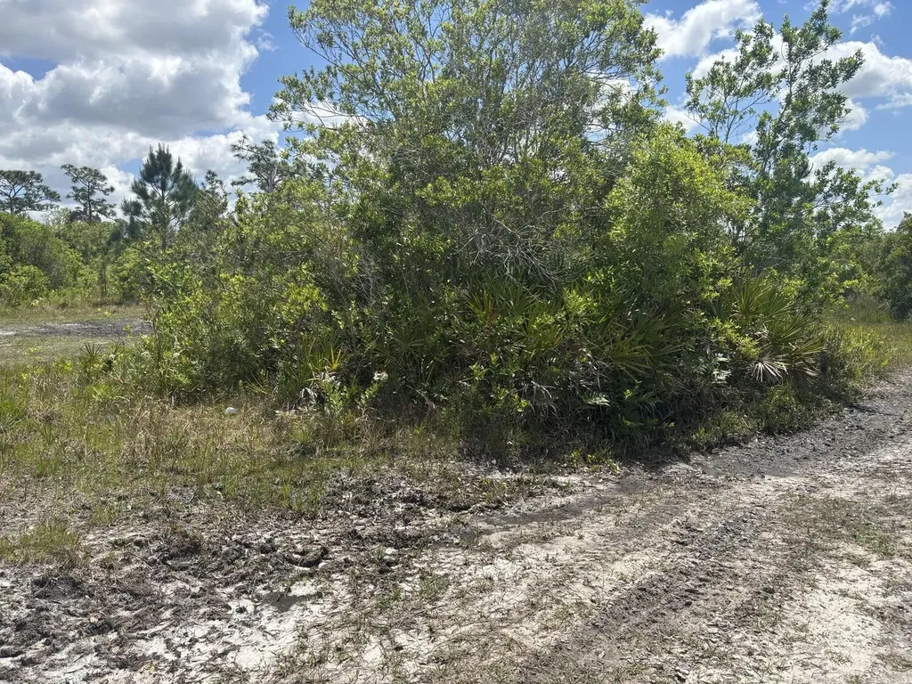 0 Holopaw Groves Road St. Cloud FL 34772