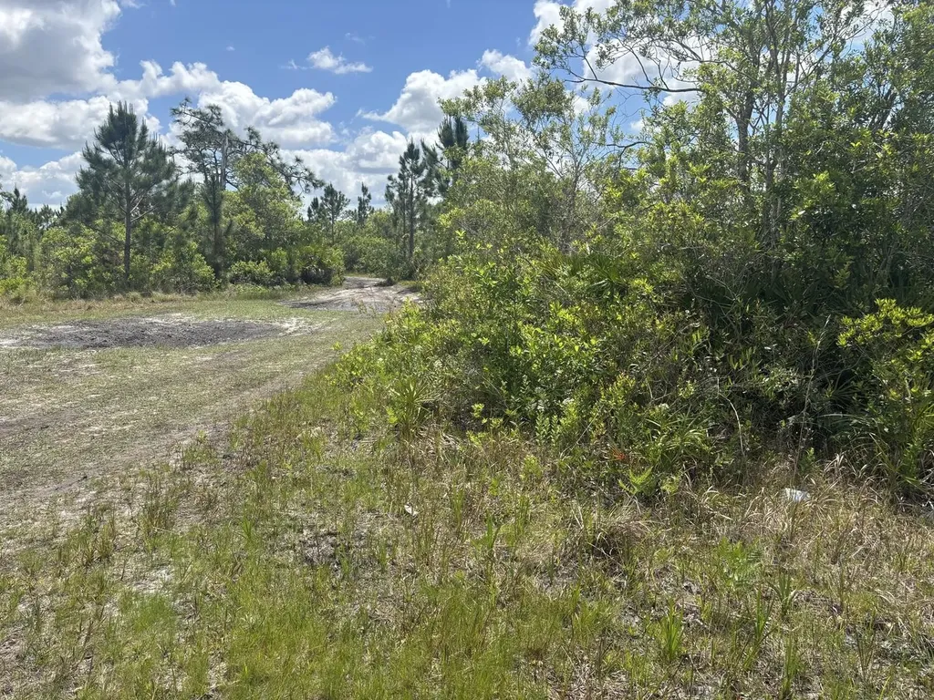 0 Holopaw Groves Road St. Cloud FL 34772
