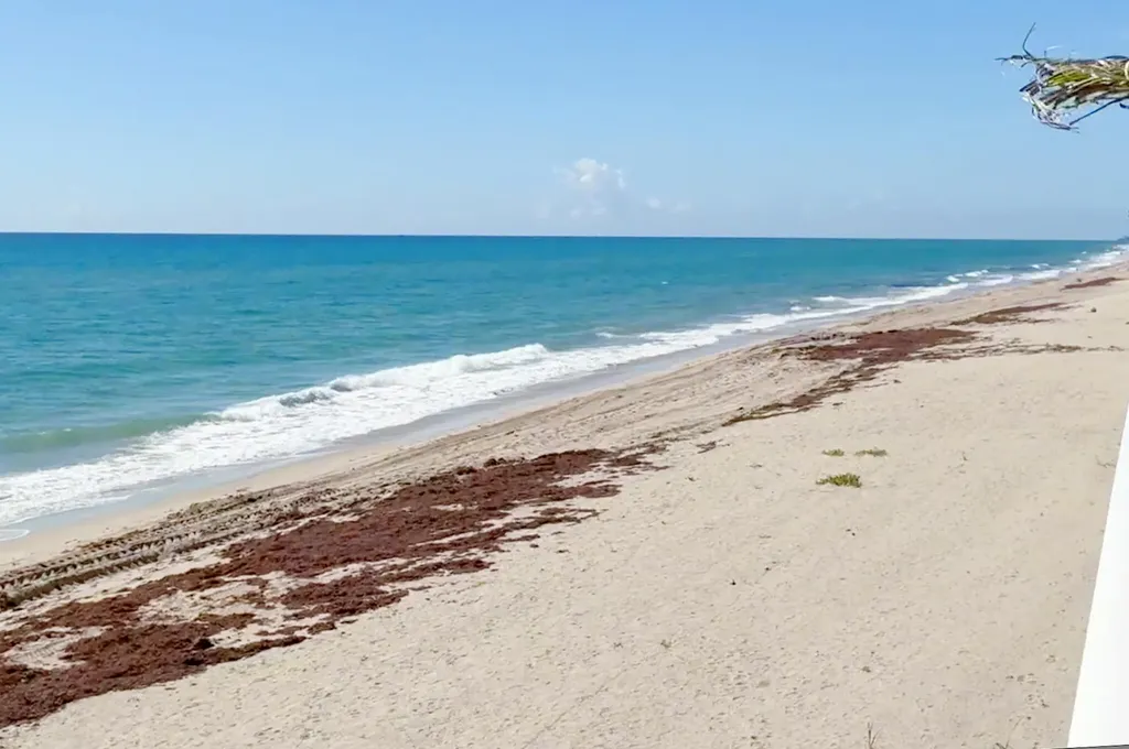 3475 S Ocean Boulevard Palm Beach FL 33480