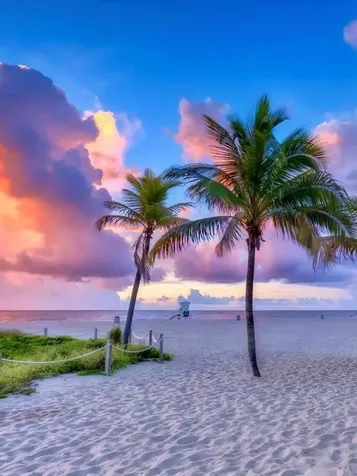 1541 S Ocean Boulevard Lauderdale By The Sea FL 33062