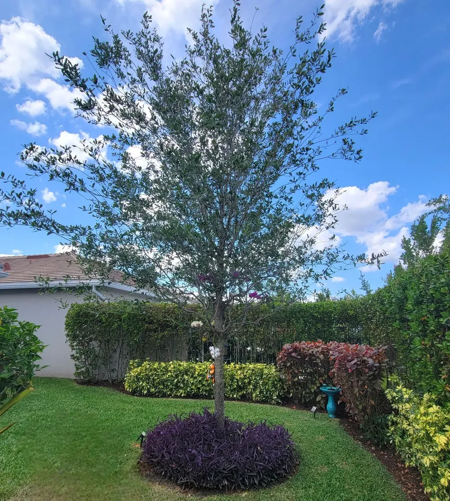 5324 Star Rush Lane Lake Worth FL 33467
