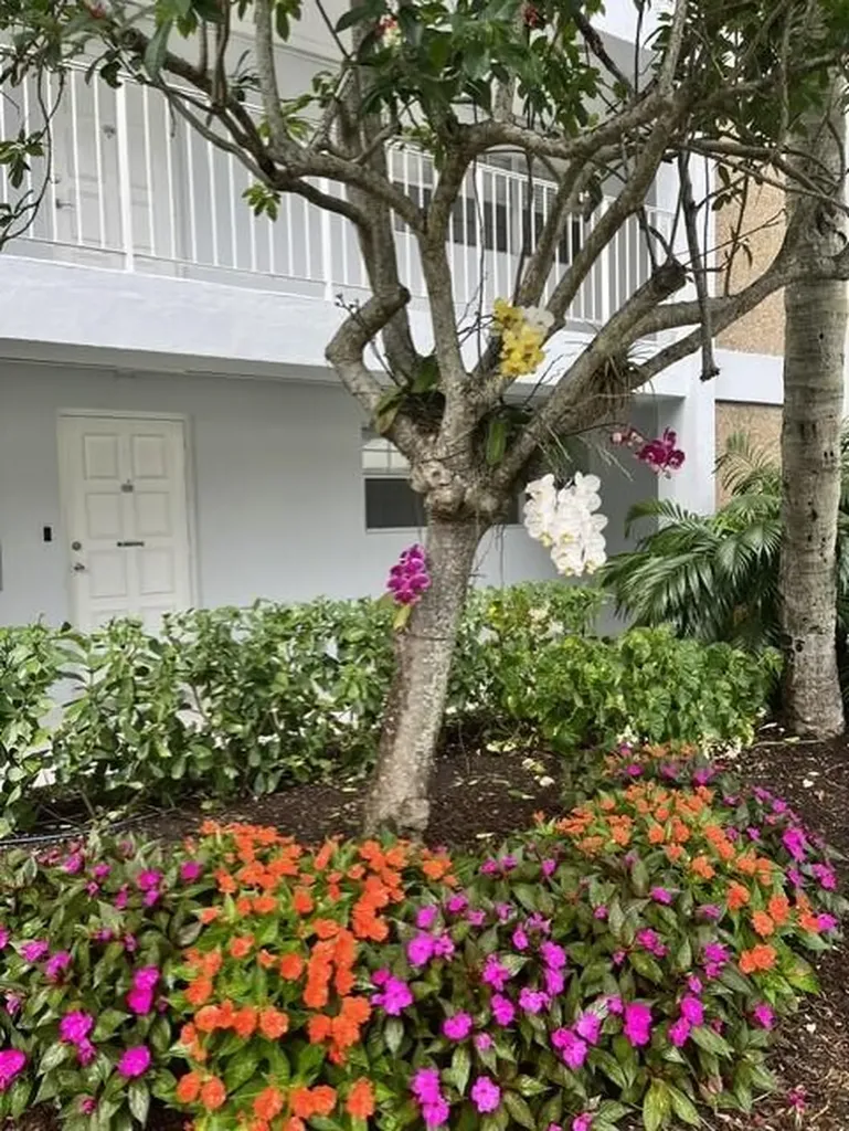 3010 N Course Drive Pompano Beach FL 33069