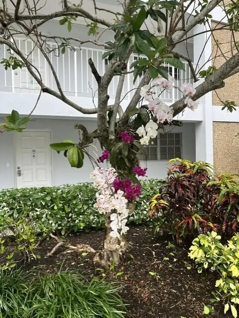 3010 N Course Drive Pompano Beach FL 33069