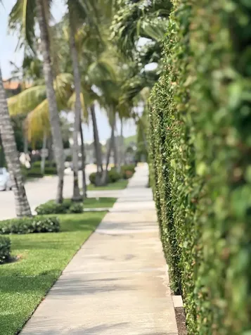 225 Everglade Avenue Palm Beach FL 33480