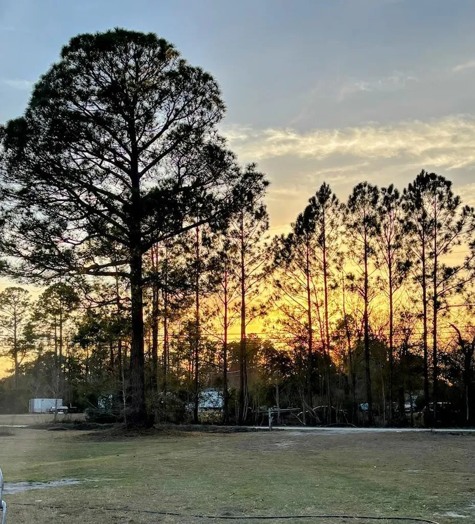 5735 Wandering Trail Jacksonville FL 32219