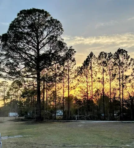 5735 Wandering Trail Jacksonville FL 32219