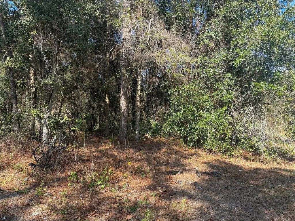 7178 W Wildfire Lane Homosassa FL 34448