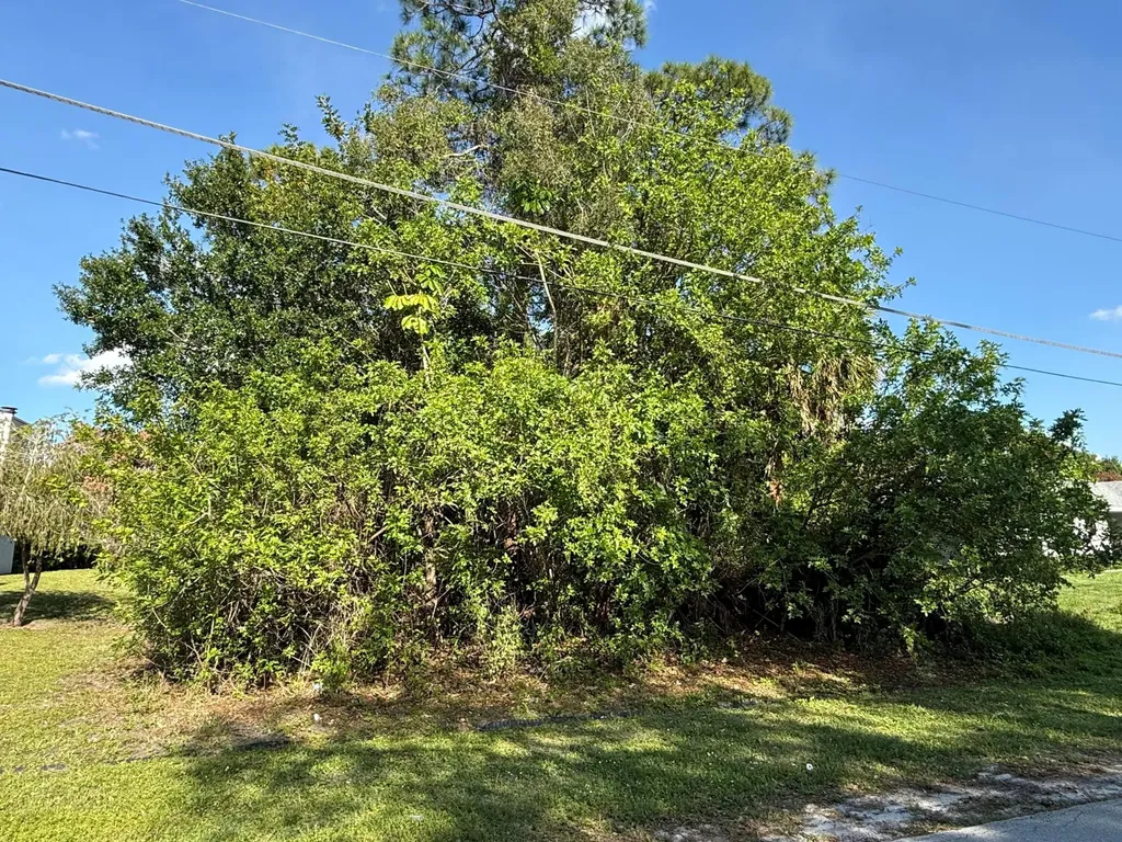 2325 SE Saphire Terrace Port St Lucie FL 34952