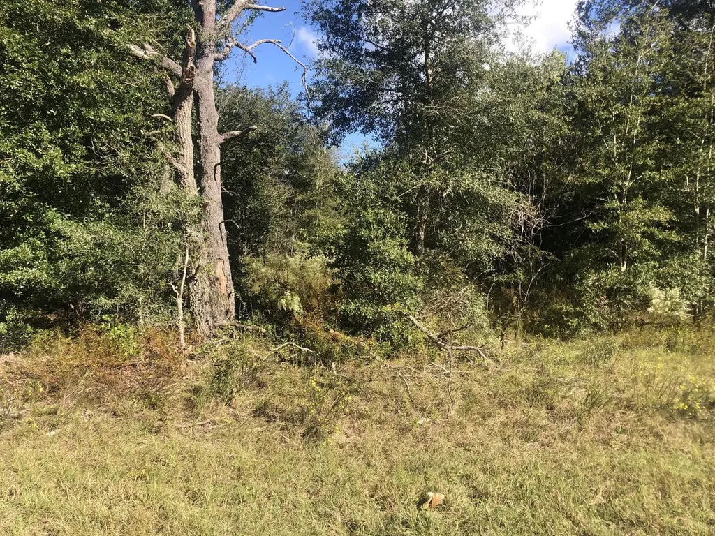 0 Dawn Avenue Interlachen FL 32148