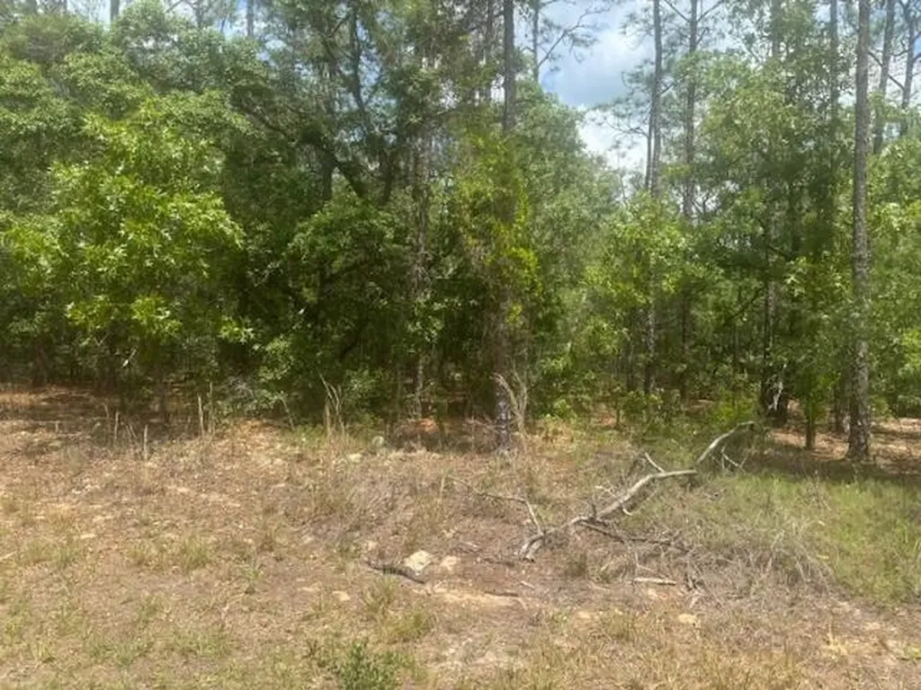 8593 N Bambury Terrace Citrus Springs FL 34434