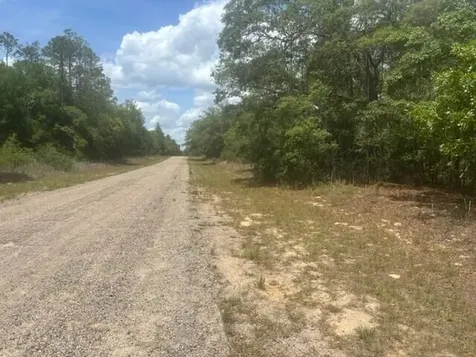 8593 N Bambury Terrace Citrus Springs FL 34434