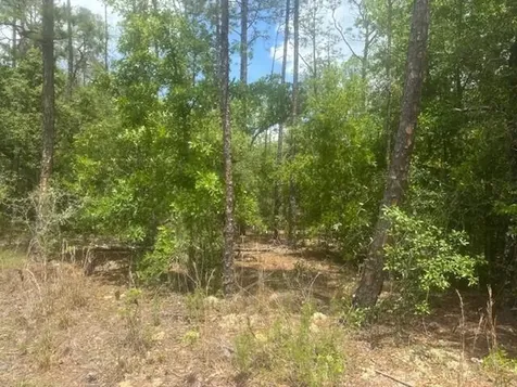 8593 N Bambury Terrace Citrus Springs FL 34434