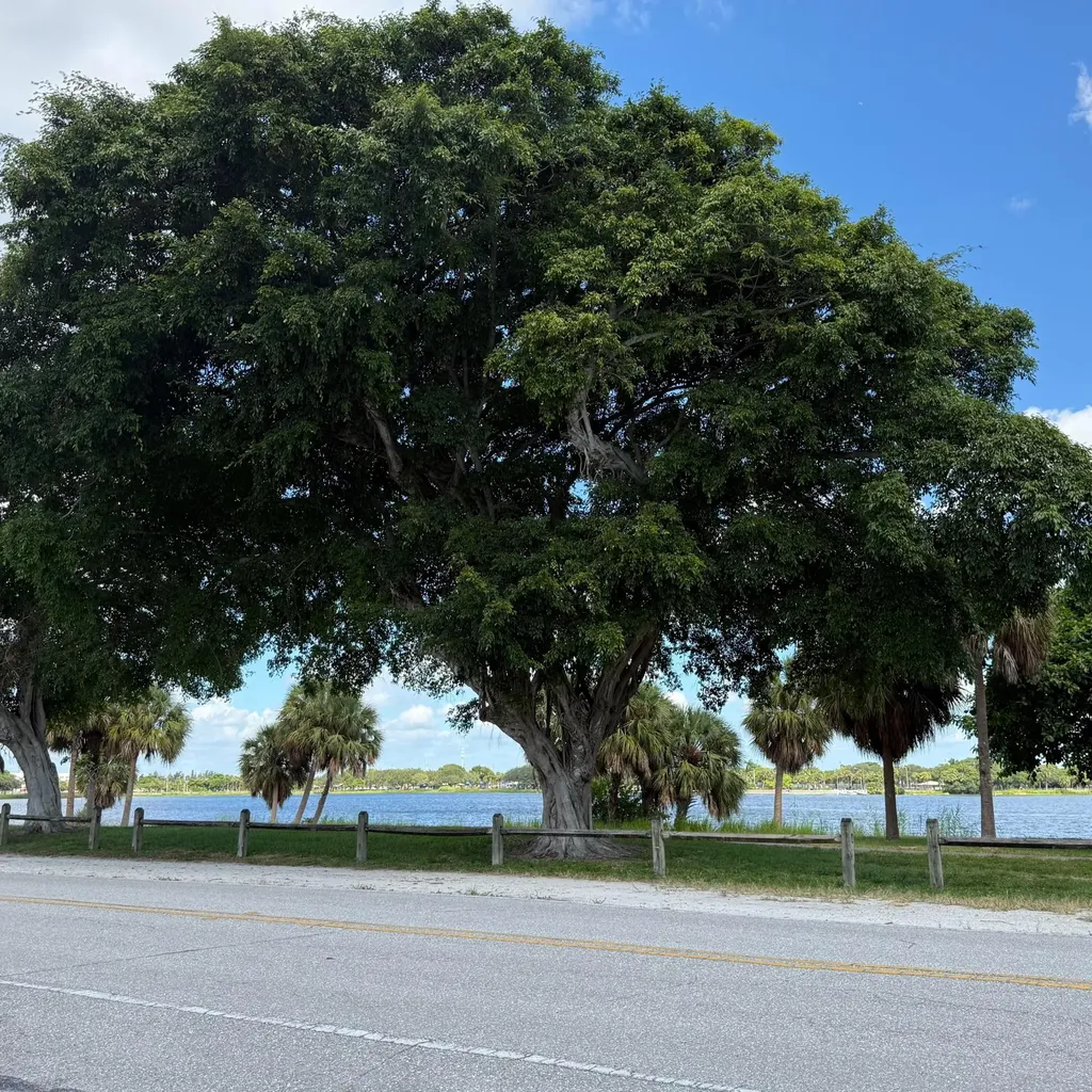 2102 Lake Osborne Drive Lake Worth Beach FL 33461