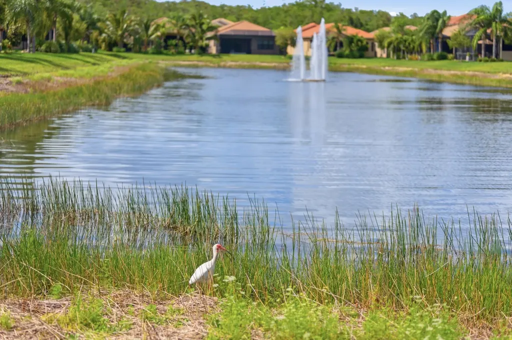 11619 Riverstone Lane Fort Myers FL 33913