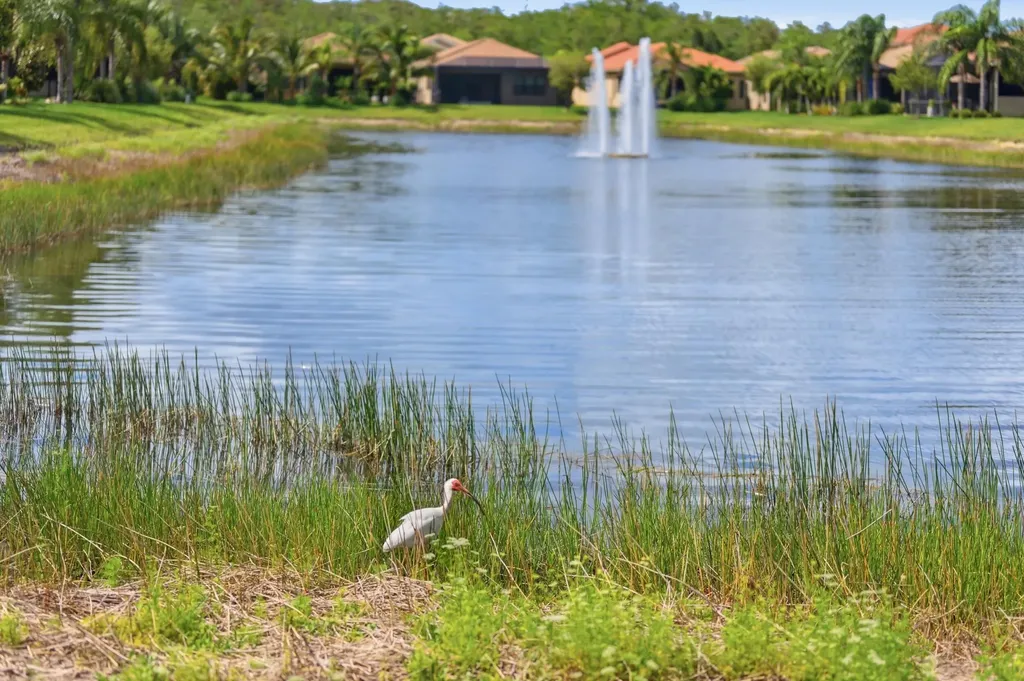 11619 Riverstone Lane Fort Myers FL 33913