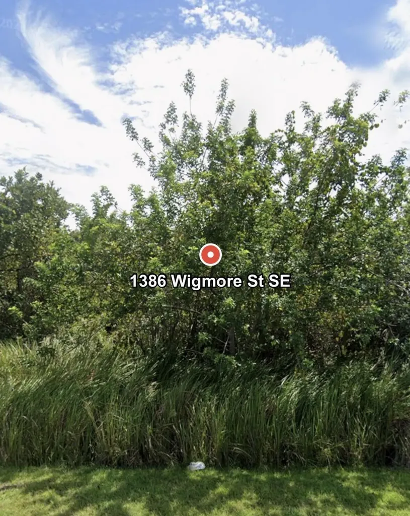 1386 SE Wigmore Street Street SE Palm Bay FL 32909