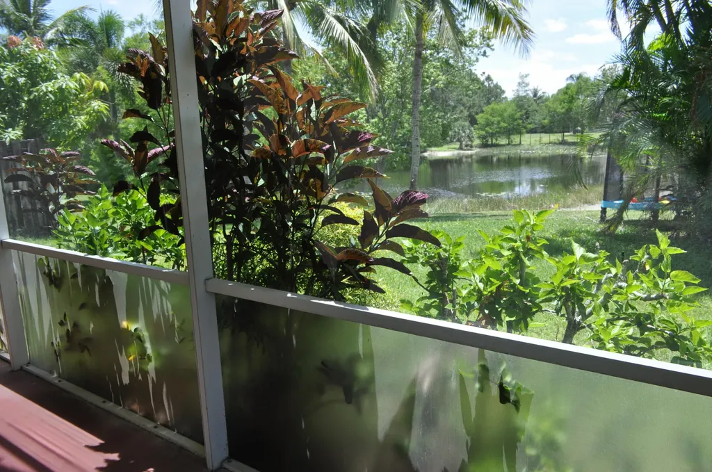 1592 Carriage Brooke Drive Wellington FL 33414