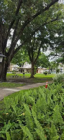 2600 NW 49th Avenue Lauderdale Lakes FL 33313