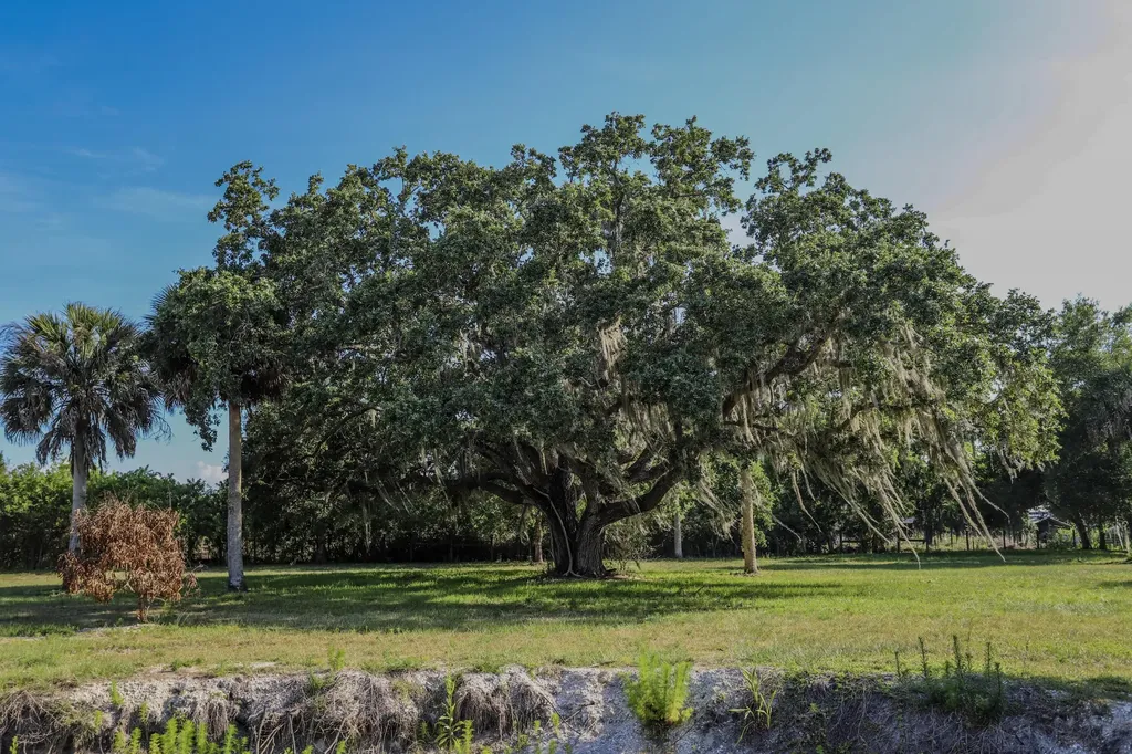 1100 Red Barn Road N W Moore Haven FL 33471