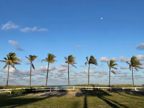 4629 Poinciana Street Lauderdale By The Sea FL 33308