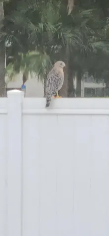 6727 Dickinson Terrace Port St Lucie FL 34952