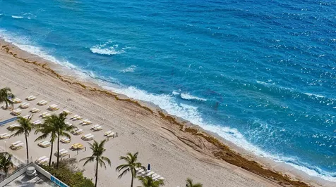 3900 Galt Ocean Drive Fort Lauderdale FL 33308