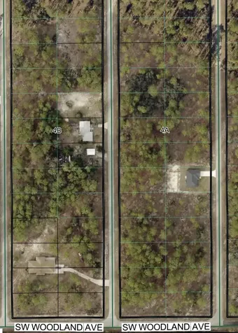Tbd SW Buena Vista Road Dunnellon FL 34431