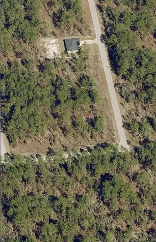 Tbd SW Buena Vista Road Dunnellon FL 34431