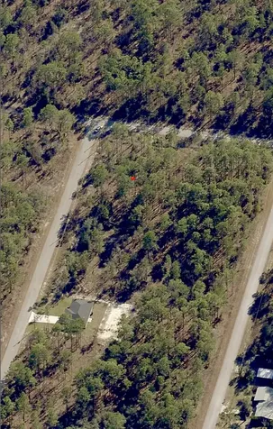 Tbd SW Buena Vista Road Dunnellon FL 34431