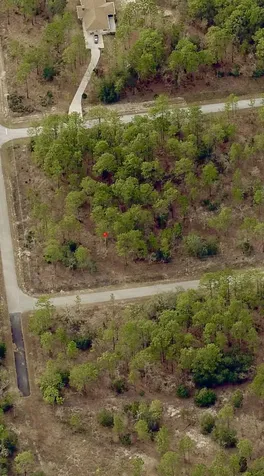 Tbd SW Buena Vista Road Dunnellon FL 34431