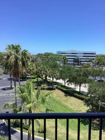 2421 NE 65th Street Fort Lauderdale FL 33308