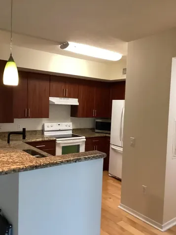 2421 NE 65th Street Fort Lauderdale FL 33308