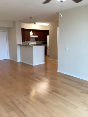 2421 NE 65th Street Fort Lauderdale FL 33308