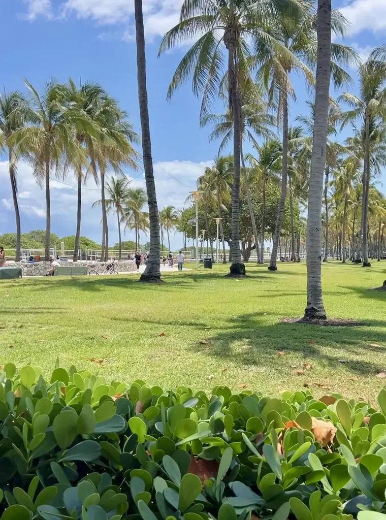 901 Collins Avenue Miami Beach FL 33139