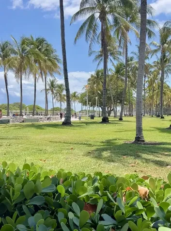 901 Collins Avenue Miami Beach FL 33139